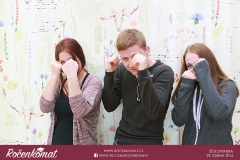 SLOVENSKA SKOLA (91)